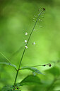 BUITEN BEELD Foto: 435549