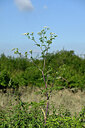 BUITEN BEELD Foto: 435552