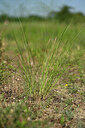 BUITEN BEELD Foto: 435554