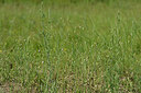 BUITEN BEELD Foto: 435557