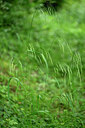 BUITEN BEELD Foto: 435558