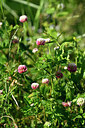 BUITEN BEELD Foto: 435560