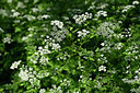 BUITEN BEELD Foto: 435562
