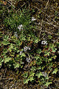 BUITEN BEELD Foto: 435570