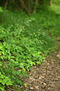 BUITEN BEELD Foto: 435573