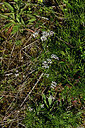 BUITEN BEELD Foto: 435574