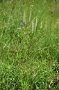 BUITEN BEELD Foto: 435582