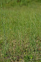 BUITEN BEELD Foto: 435584