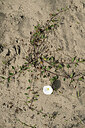 BUITEN BEELD Foto: 435590