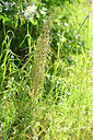 BUITEN BEELD Foto: 435597