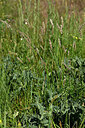 BUITEN BEELD Foto: 435600