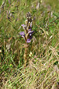BUITEN BEELD Foto: 435606
