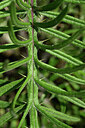 BUITEN BEELD Foto: 435607