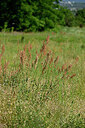 BUITEN BEELD Foto: 435608