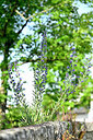BUITEN BEELD Foto: 435610