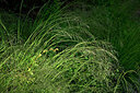 BUITEN BEELD Foto: 435619