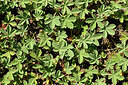 BUITEN BEELD Foto: 435622