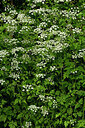 BUITEN BEELD Foto: 435625