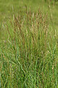 BUITEN BEELD Foto: 435627