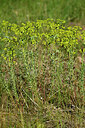 BUITEN BEELD Foto: 435628