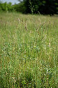 BUITEN BEELD Foto: 435631