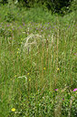 BUITEN BEELD Foto: 435632