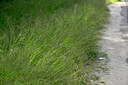 BUITEN BEELD Foto: 435636