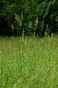 BUITEN BEELD Foto: 435645