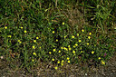 BUITEN BEELD Foto: 435647