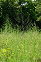 BUITEN BEELD Foto: 435648
