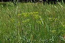 BUITEN BEELD Foto: 435651