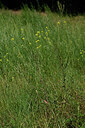 BUITEN BEELD Foto: 435652