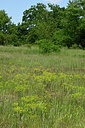 BUITEN BEELD Foto: 435653