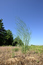 BUITEN BEELD Foto: 435663