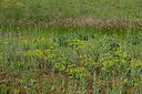 BUITEN BEELD Foto: 435664