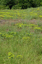 BUITEN BEELD Foto: 435671
