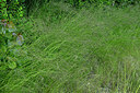 BUITEN BEELD Foto: 435675