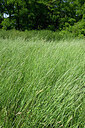 BUITEN BEELD Foto: 435679