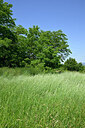 BUITEN BEELD Foto: 435680