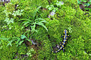 BUITEN BEELD Foto: 435692