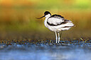 BUITEN BEELD Foto: 435698