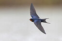 BUITEN BEELD Foto: 435701
