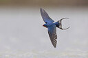 BUITEN BEELD Foto: 435704