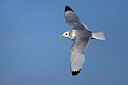 BUITEN BEELD Foto: 435714