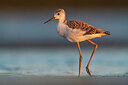 BUITEN BEELD Foto: 435733