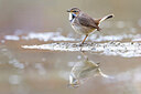 BUITEN BEELD Foto: 435754