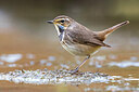 BUITEN BEELD Foto: 435756