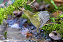 BUITEN BEELD Foto: 435804