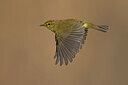 BUITEN BEELD Foto: 435805
