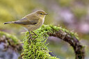 BUITEN BEELD Foto: 435809